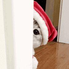 扩散|爱心助力危房改造！9月7、8、9日！期待您参与～