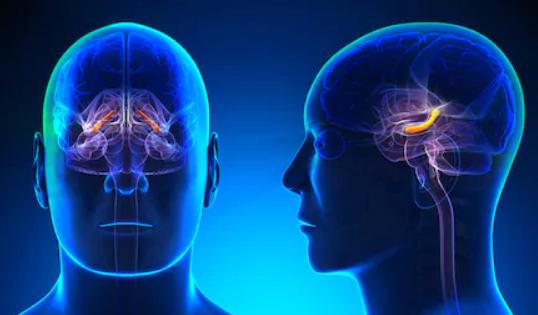 看了很多书却记不住,看了那么多书为什么还是不好