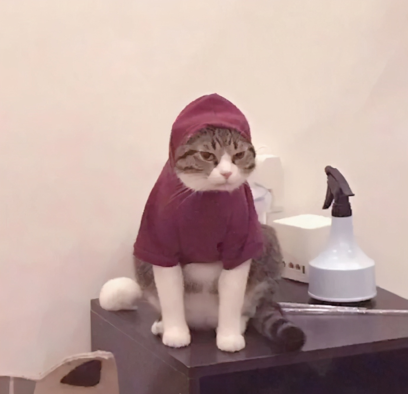 好看珍藏的头像,100张好看不常见的微信头像