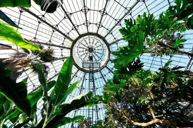 世界第八大奇迹：废矿变身伊甸园，年游客超两百万