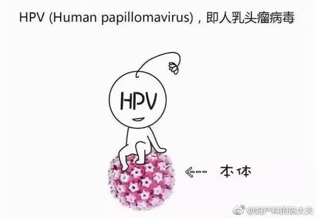 感染hpv什么症状会影响怀孕吗,hpv感染会降低怀孕几率吗
