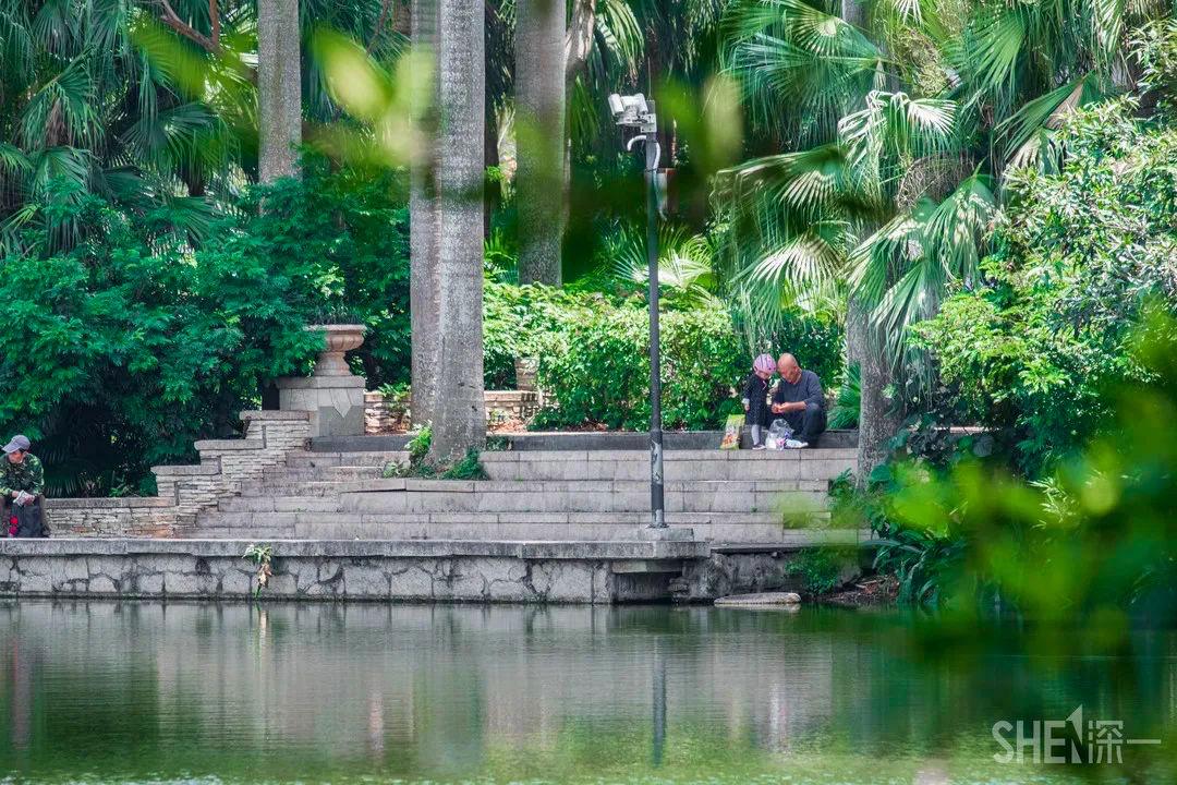 深圳旅游攻略地铁沿线景点,深圳市地铁2号线打卡的24个景点