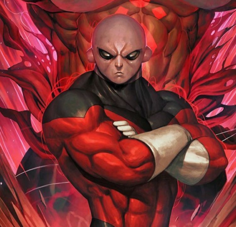 龙珠和海贼谁粉丝多,龙珠和海贼王哪个地位高