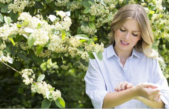 紫外线过敏皮炎擦什么软膏,夏天容易紫外线过敏是什么原因