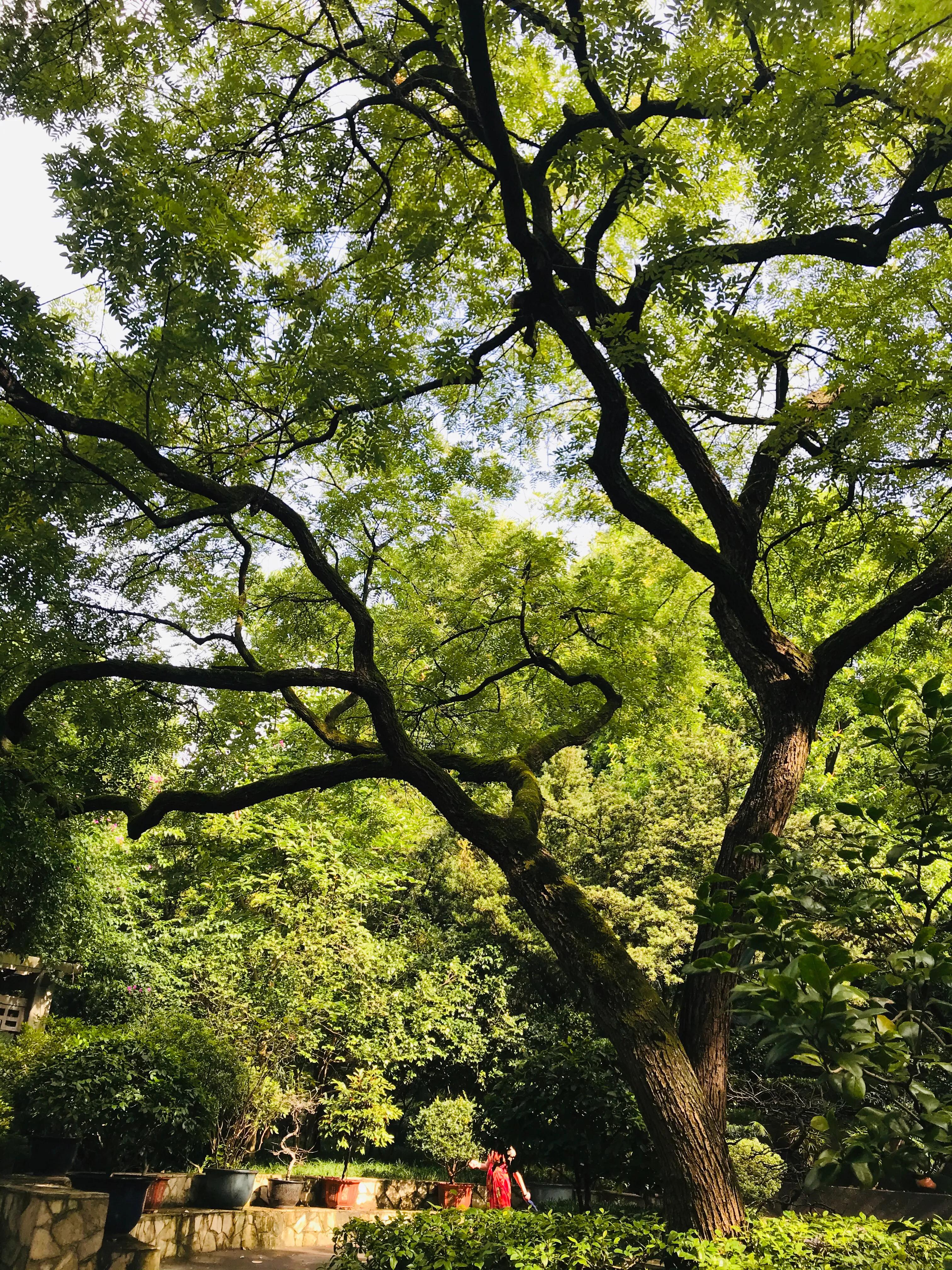 天长地久的梦想,天长地久的感言