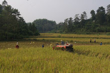 重庆梁平虎城镇图片,重庆梁平虎城镇的特色