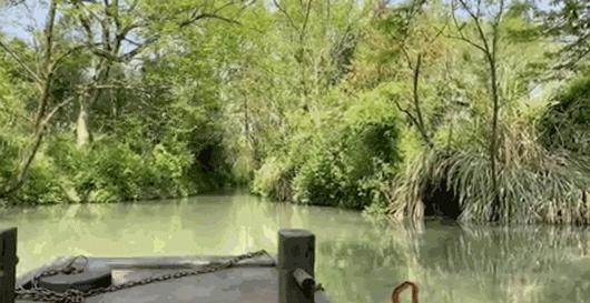 西溪天堂令人沉醉的江南梦境,城市的夜晚江南水乡美如画