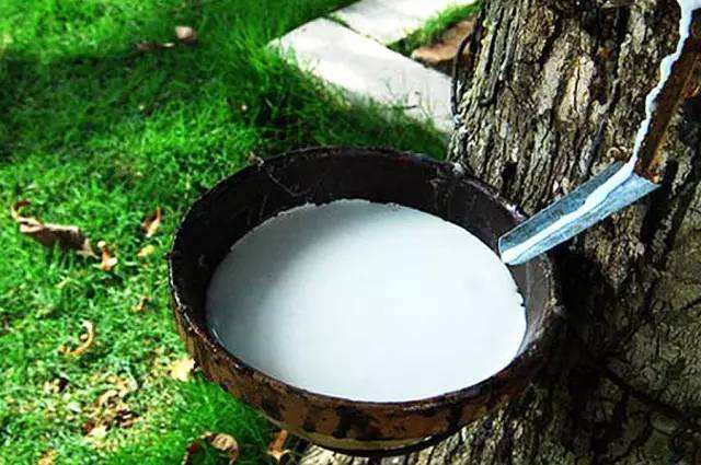 牛人自制发明浇水神器 (自制自动浇水神器)