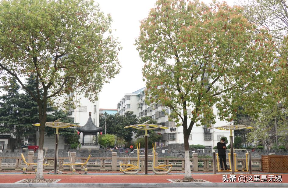 无锡最美网红步道坡度,无锡网红步道有哪些