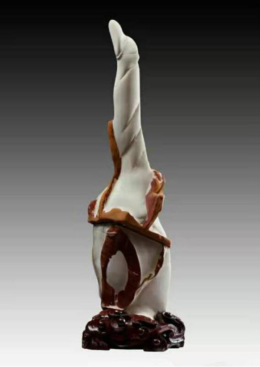 不瞒你说，这些石头你去了主人家里都未必能看到