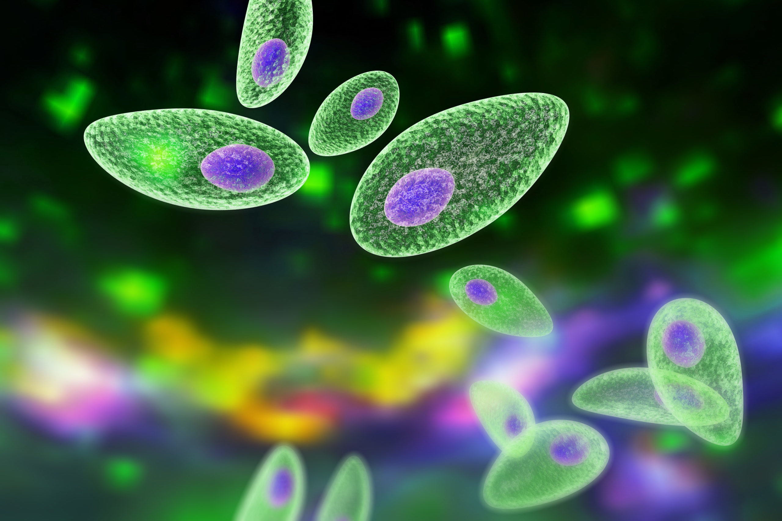 寄生虫操纵人类大脑,操纵意识的寄生虫