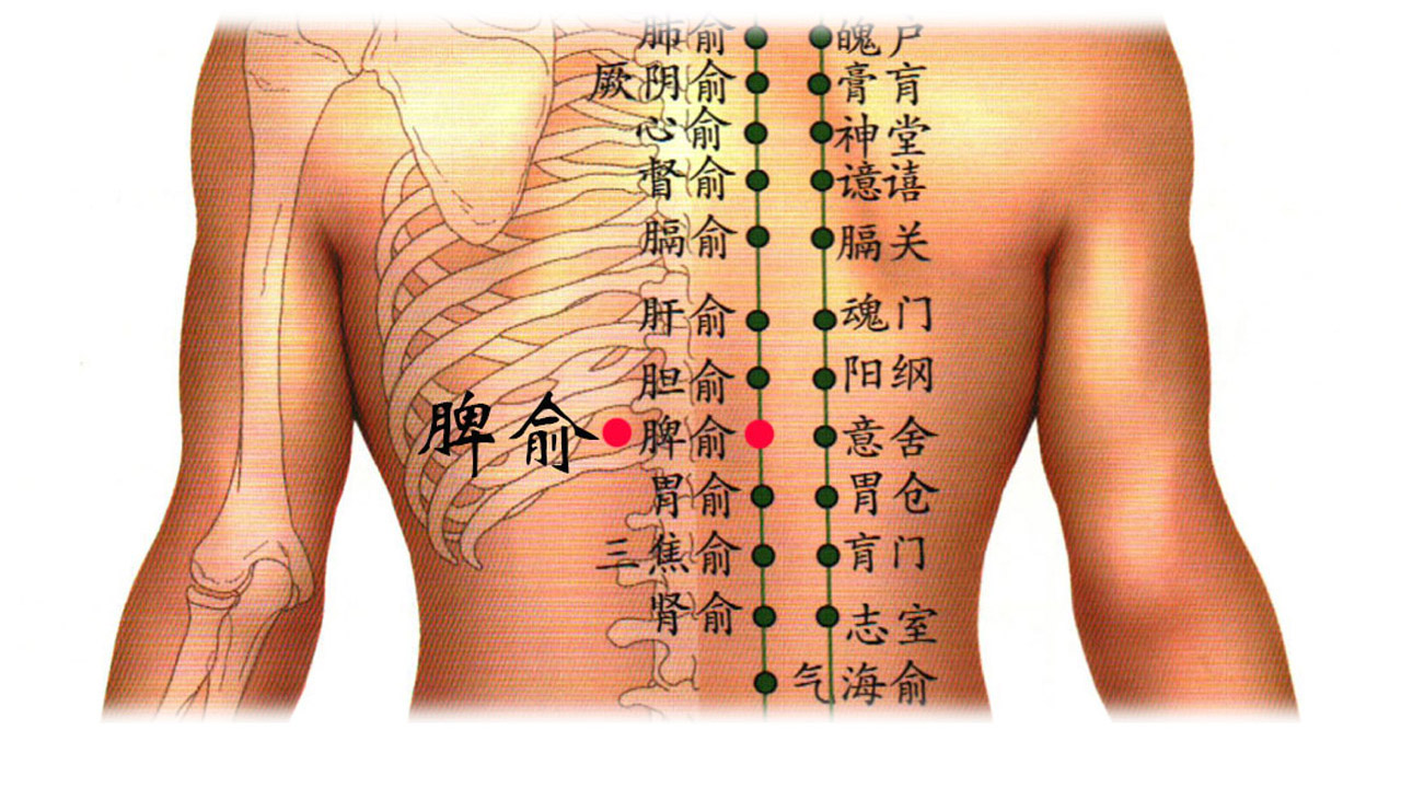 倪海厦讲解针灸配穴的方法,倪海厦手臂麻针灸治疗法