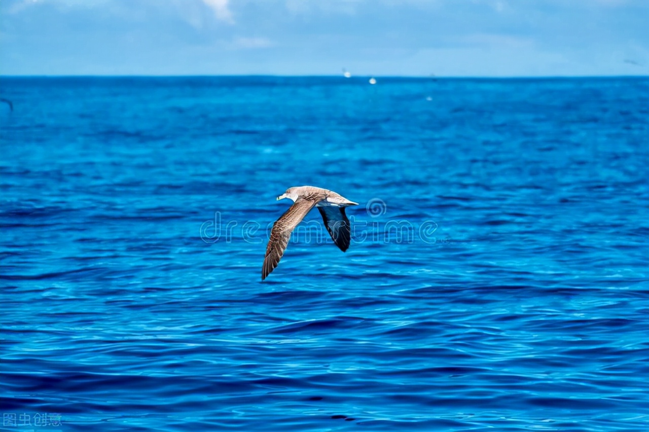 羊水到底是什么东西,羊水对胎儿有什么影响