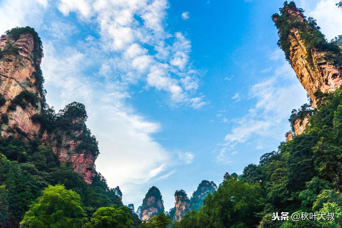 被小人同事算计用不用给领导告状,被领导盯着一直被算计了怎么办