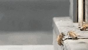 针灸治疗搞笑图,中医搞笑图片