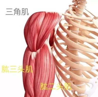 触诊是什么意思,触诊的意义