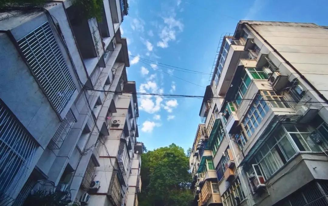 为什么看空学区房,学区房会是楼市最大的雷吗