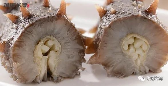 海参怎么吃既简单又有营养,海参老母鸡怎么炖最有营养