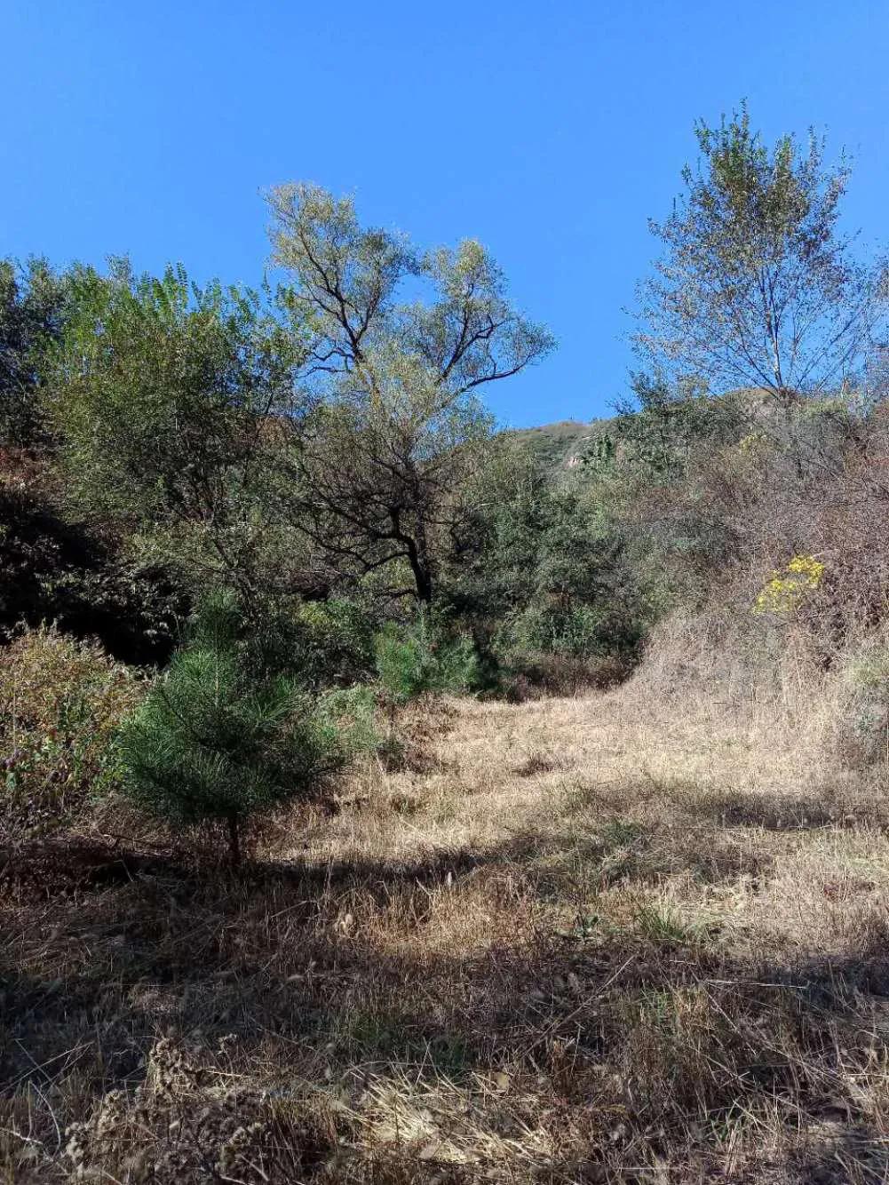碧岩龙泉山庄,万柏林龙泉山庄