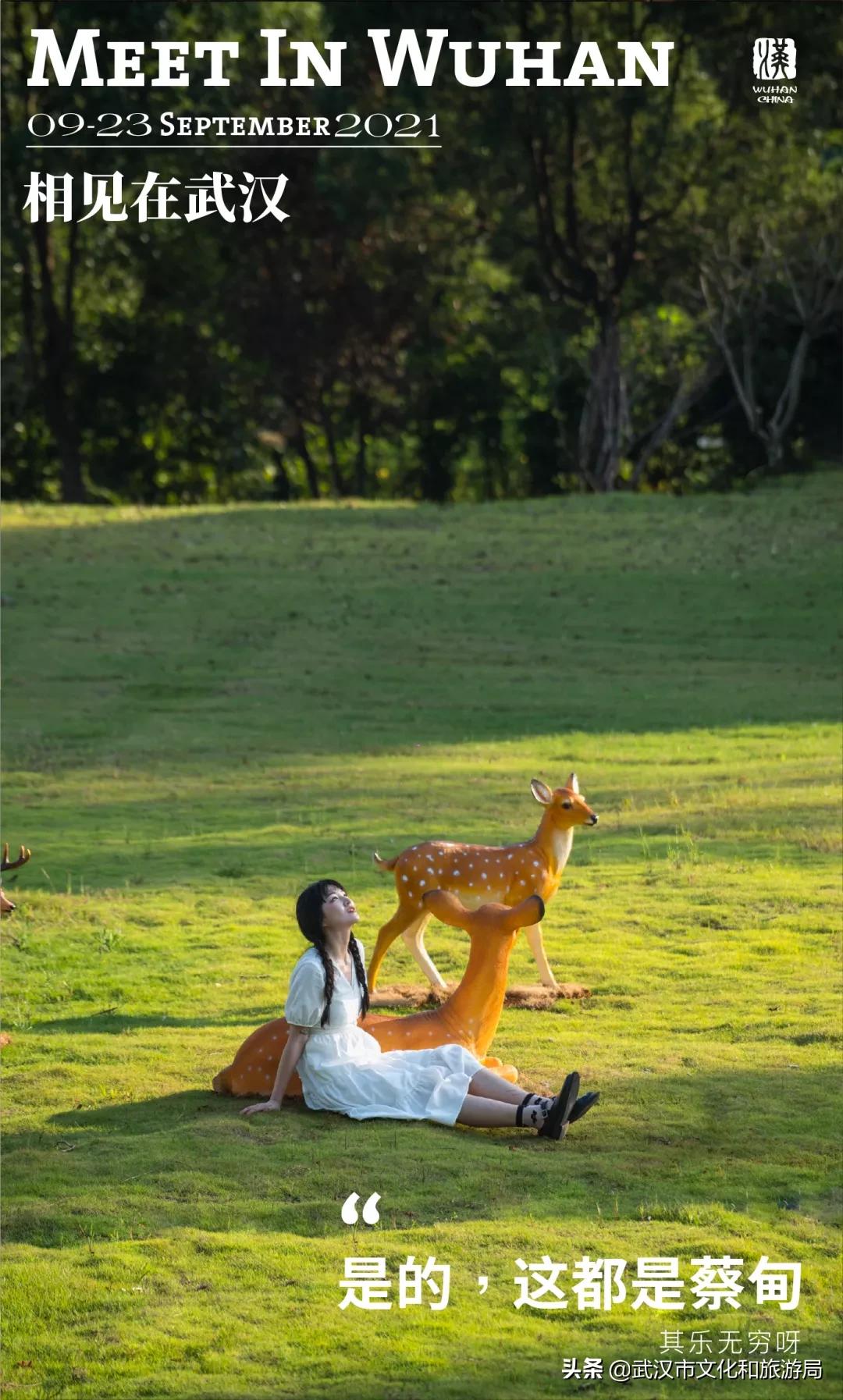 蔡甸区游玩,蔡甸在哪里