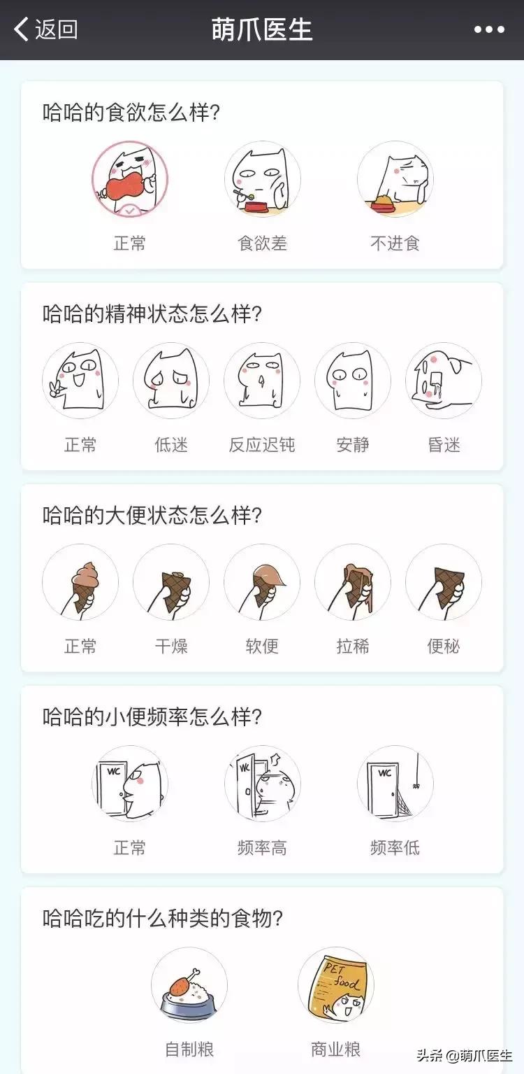 足不出户线上看诊,24小时猫病在线咨询