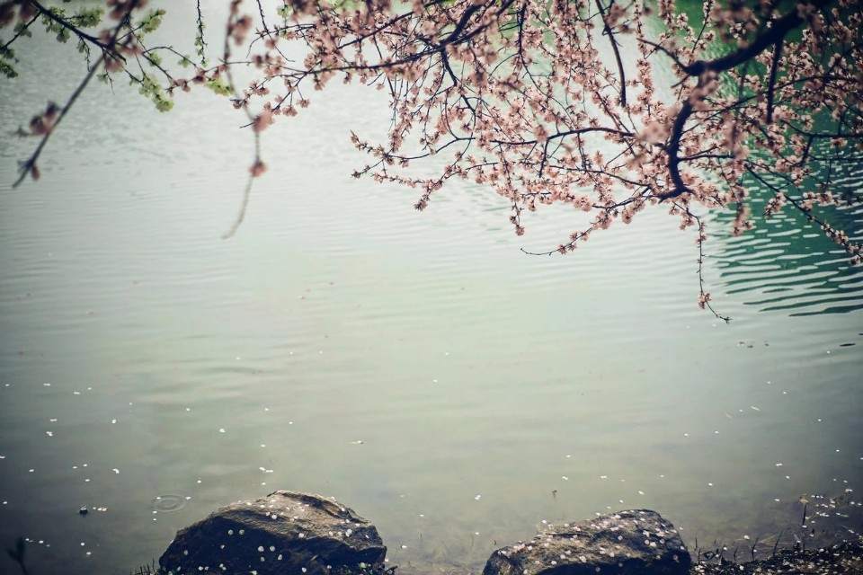 沁阳永威学校参观,沁阳永威学校2021开放日