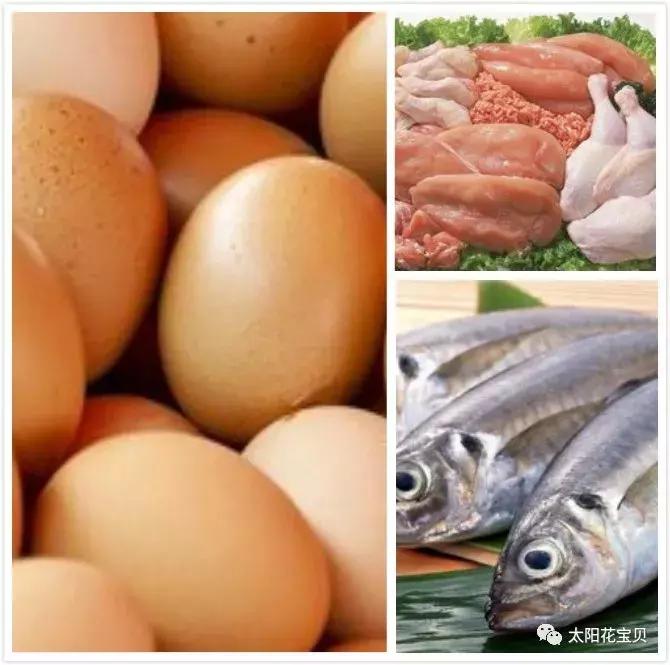 关于宝宝吃盐最新信息,婴儿吃盐和糖