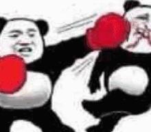 警方提醒打赢坐牢打输住院,警方通报打赢坐牢打输住院