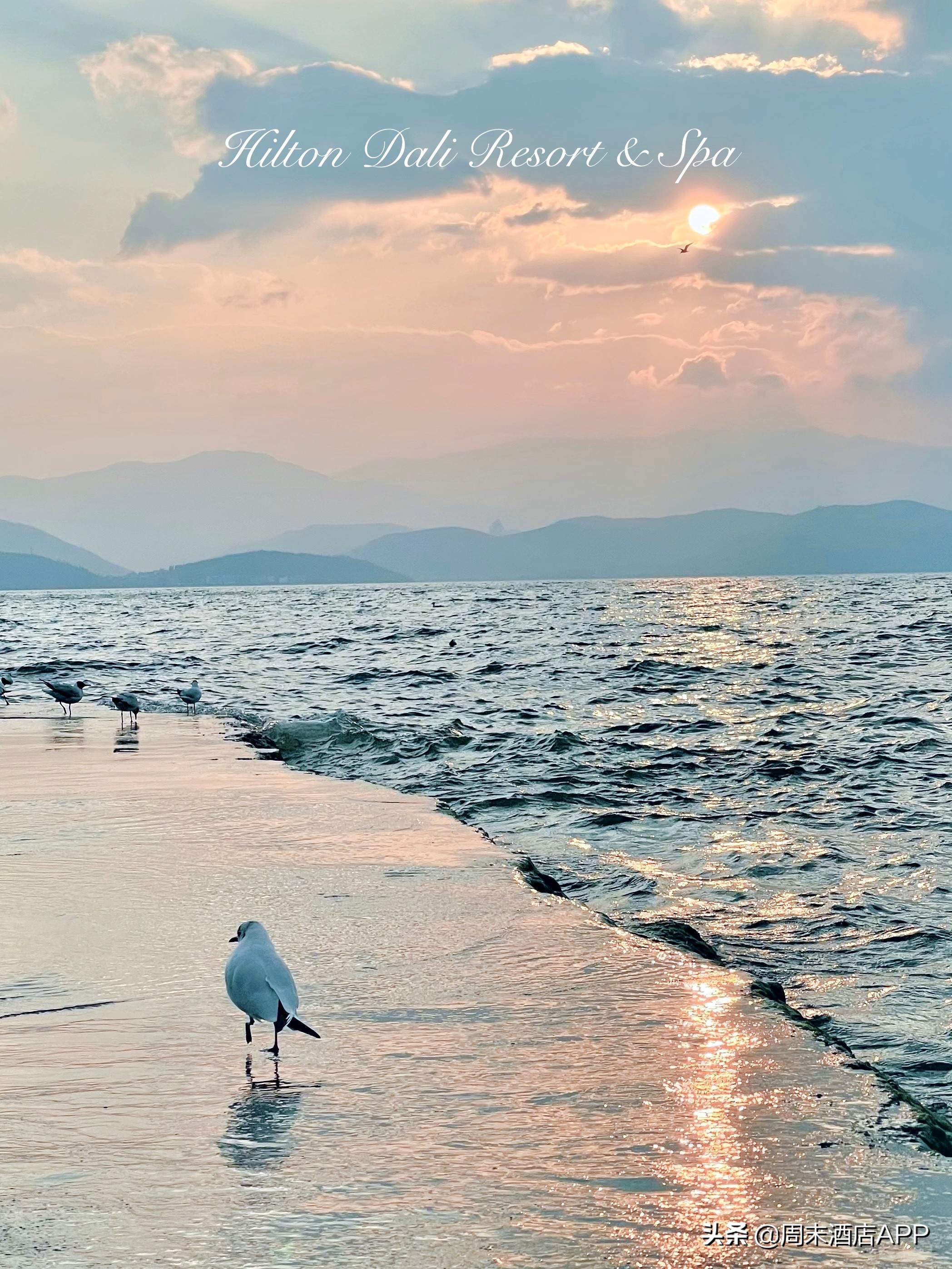 大理古城旁漫步洱海苍山脚下民宿,大理洱海排名前十的悬崖酒店