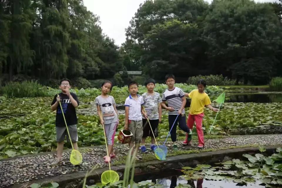 🌷写给大女儿琪琪格的一封信