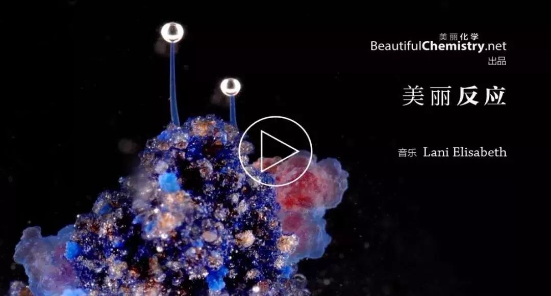 孩子暑期必看的50部神级纪录片,适合孩子和家长一起看的纪录片