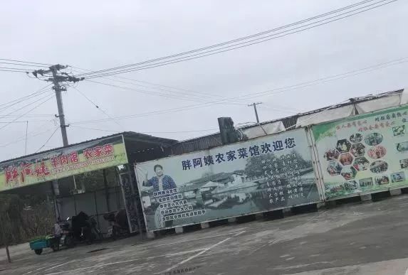 上海周边农家乐旅游推荐,上海周边独栋民宿农家乐推荐