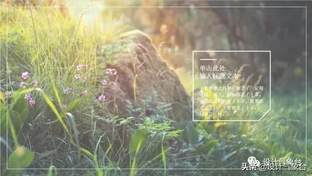 日系专属PPT，让你的排版瞬间淡雅高冷起来