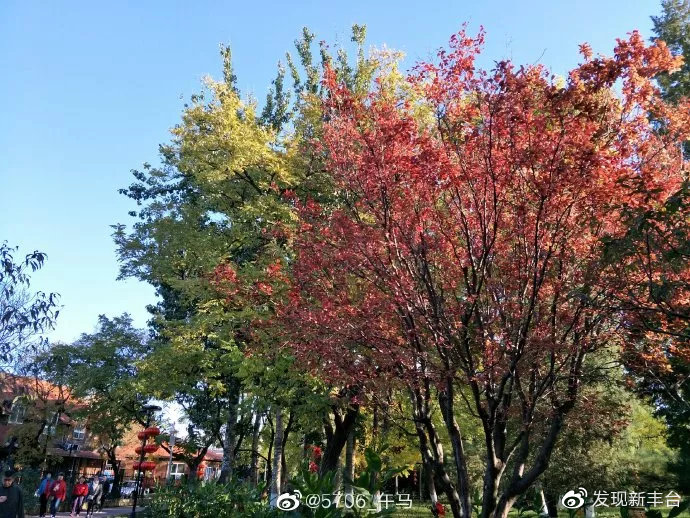 丰台赏秋景最好的地方,丰台赏秋好去处
