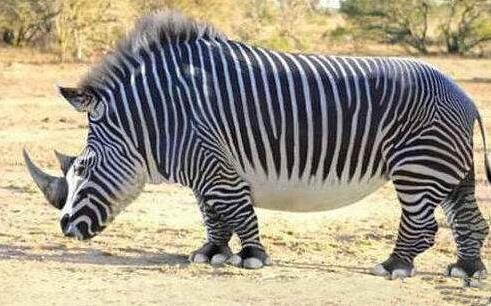 基因突变让古猿演变成人,但这个“突变”可不是大自然下的突变