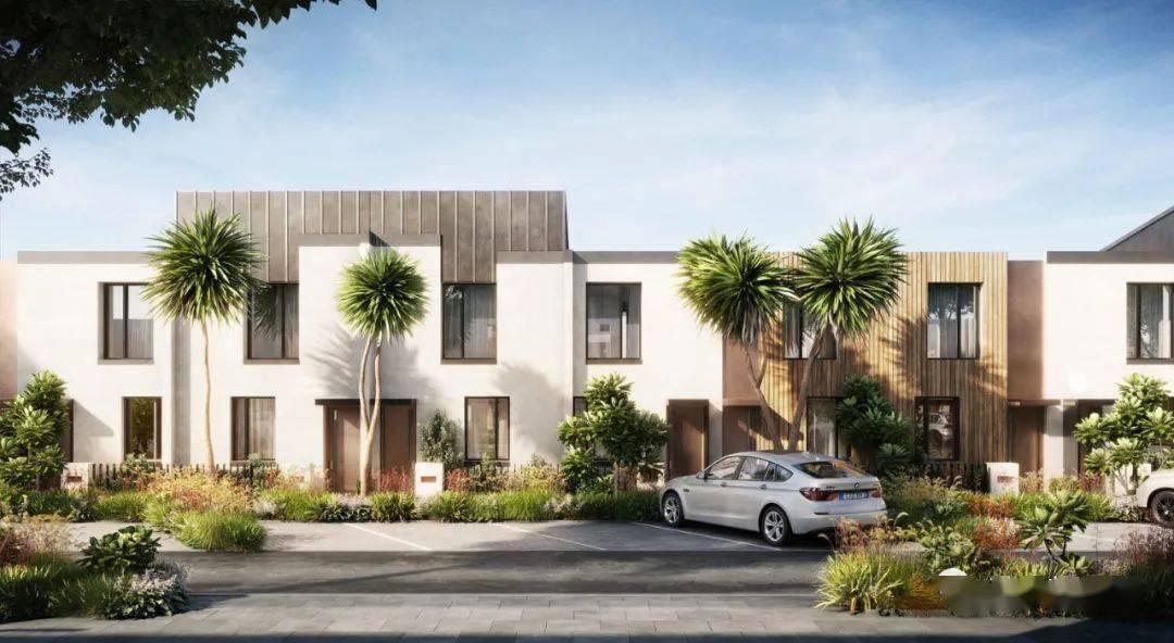 新西兰2018新政,2019新西兰新政