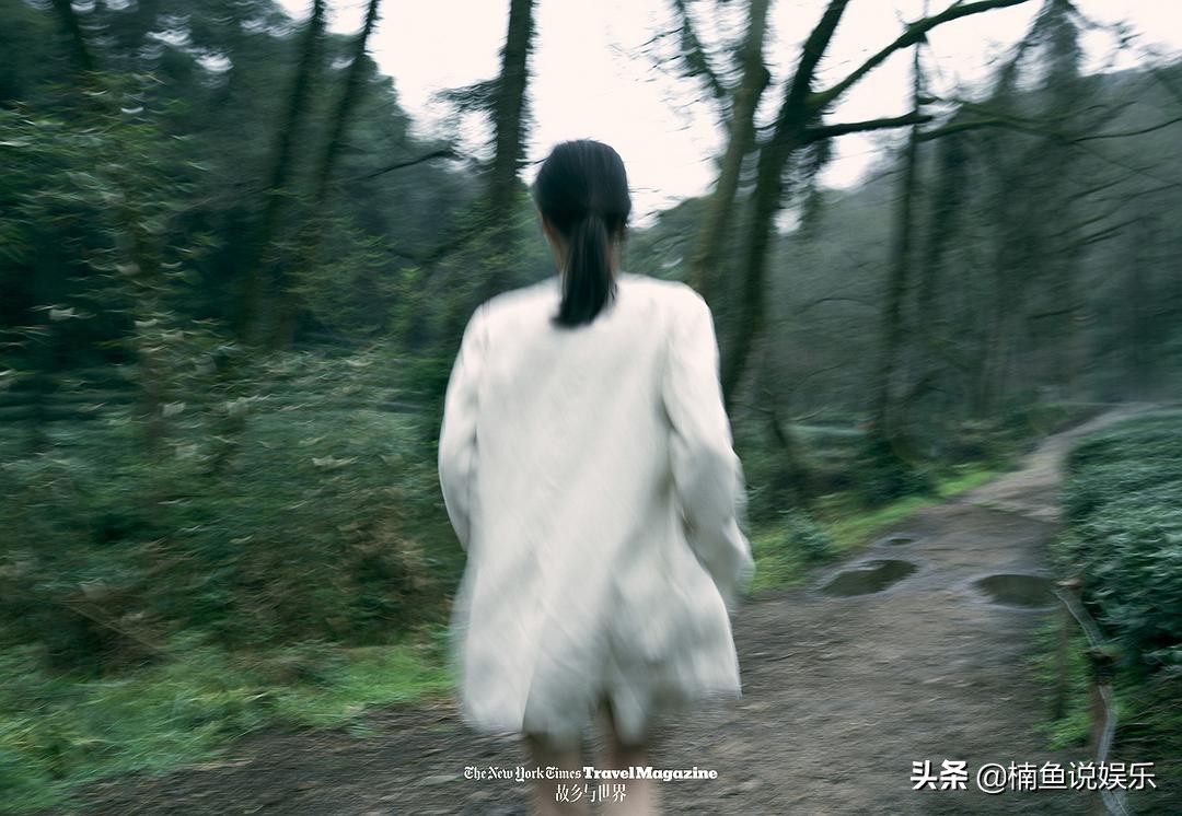 乔欣时尚潮流美图,乔欣清爽写真