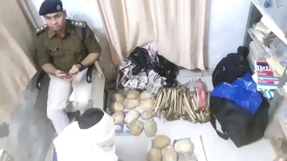 详解印度人骨交易,印度毛骨悚然的人骨交易