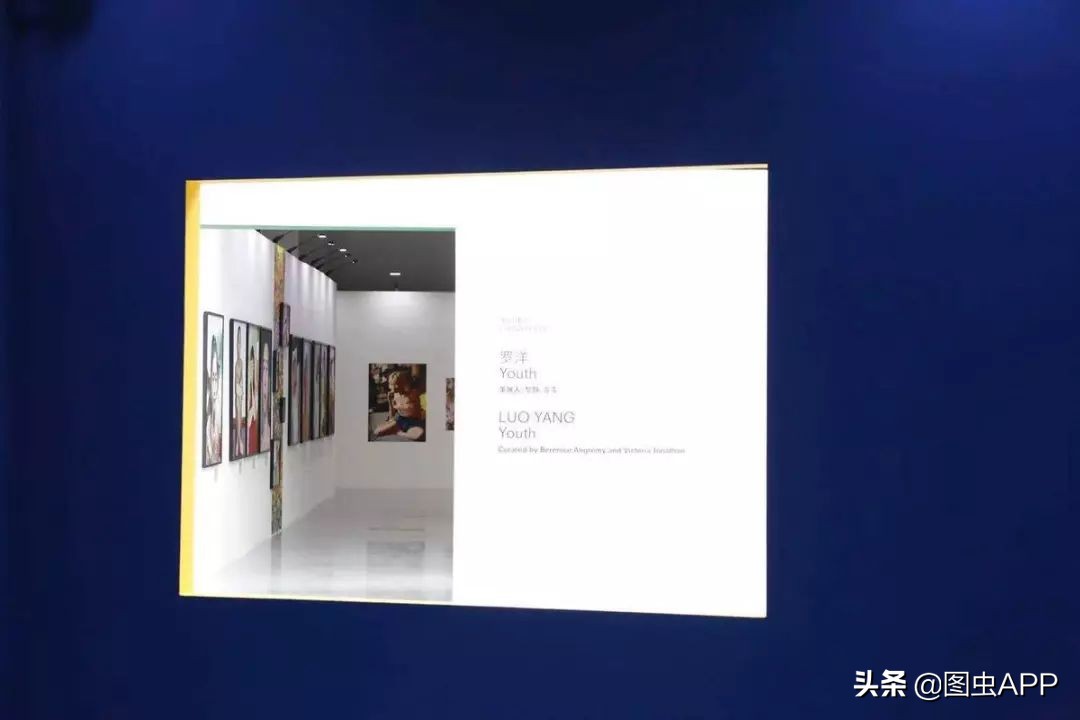 图虫opensealab摄影,图虫看动物世界系列