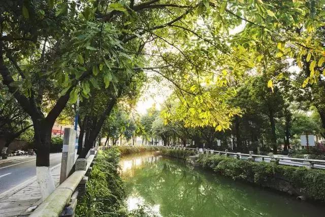 再见了大别山原唱歌曲,再见了大别山完整版原唱