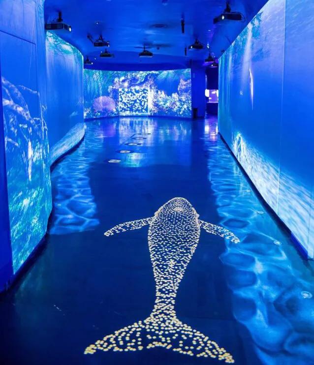 深圳暑假值得带孩子旅游的地方,深圳十大暑假室内必去景点