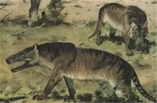 狼人被银弹打死的电影,狼人事件真实案件照片