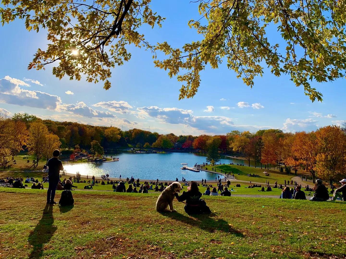 现在可以去枫叶国吗,枫叶国的真实生活
