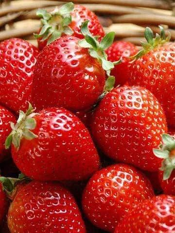 连云港父子,江苏省连云港父子俩