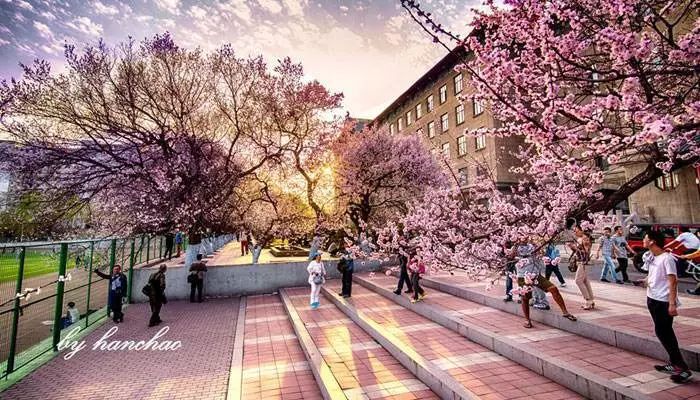 太原出发五月特价机票,4月份山西特价机票价格