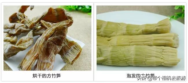 贵州省桐梓县马鬃乡竹笋,桐梓新鲜方竹笋基地