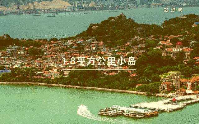 厦门鼓浪屿轮渡网上订票,厦门漳州港的船票怎么买