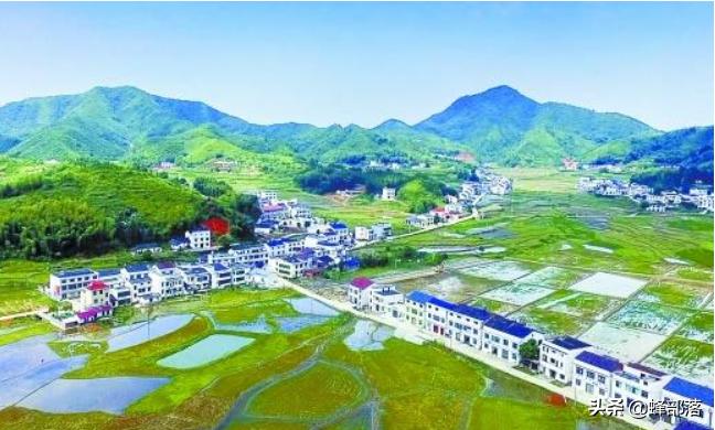 专家建议农村禁止烧煤烧柴,北方农村不让烧煤可以烧木柴吗