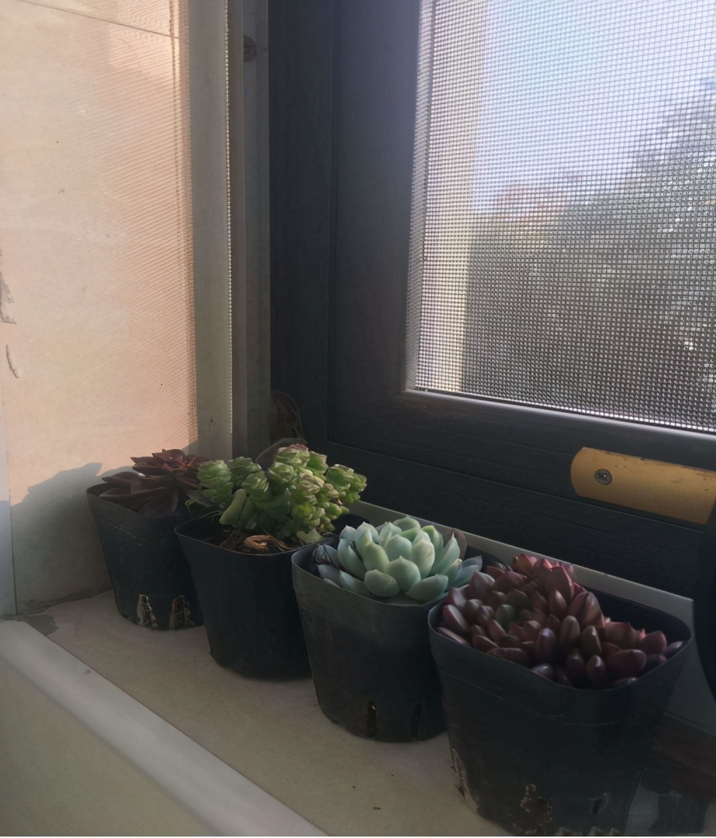 生物绘图大赛图片大全,地理生物绘图比赛