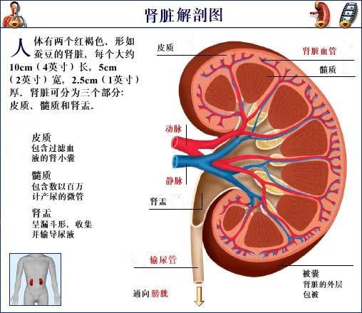 最容易被忽视的5种健康生活方式,最容易被忽视的健康生活方式
